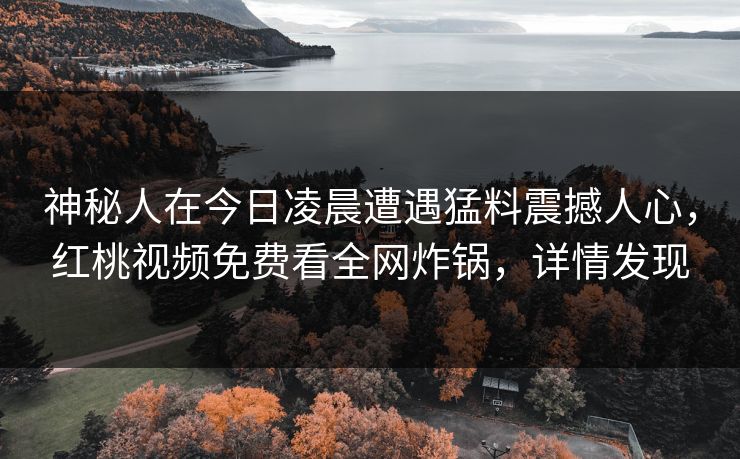 神秘人在今日凌晨遭遇猛料震撼人心，红桃视频免费看全网炸锅，详情发现