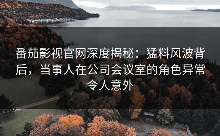番茄影视官网深度揭秘：猛料风波背后，当事人在公司会议室的角色异常令人意外