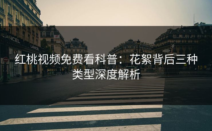 红桃视频免费看科普:花絮背后三种类型深度解析
