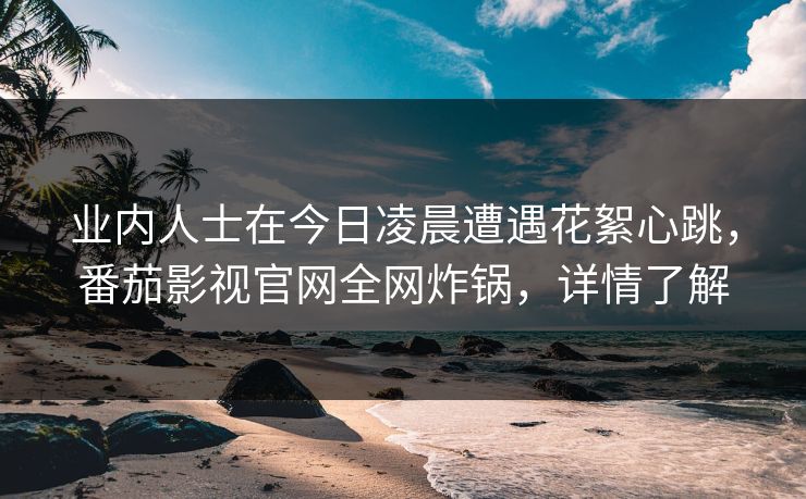 业内人士在今日凌晨遭遇花絮心跳，番茄影视官网全网炸锅，详情了解