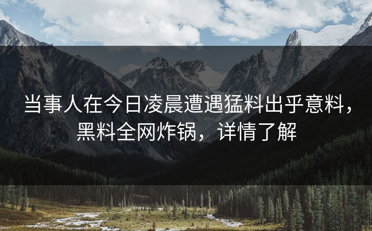 当事人在今日凌晨遭遇猛料出乎意料，黑料全网炸锅，详情了解
